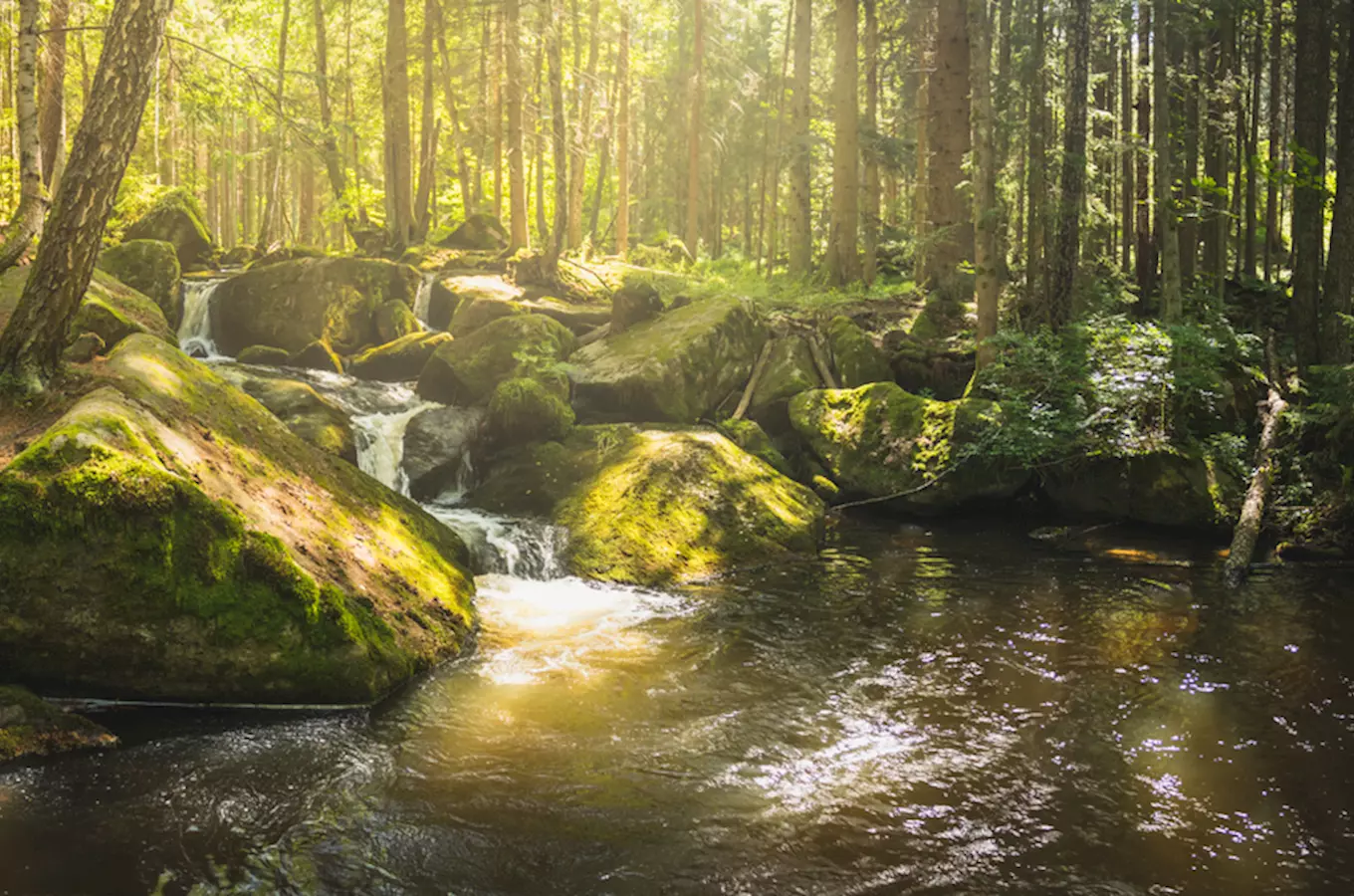 Vypravte se na Šumavu za vodopády svatého Wolfganga 