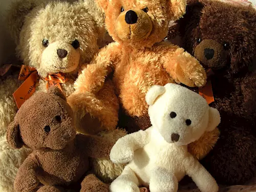 Medvědárium Praha – nemocnice plyšových medvídků
