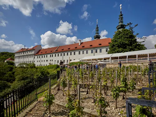 Vyhlídka s vinicí pod Strahovským klášterem 