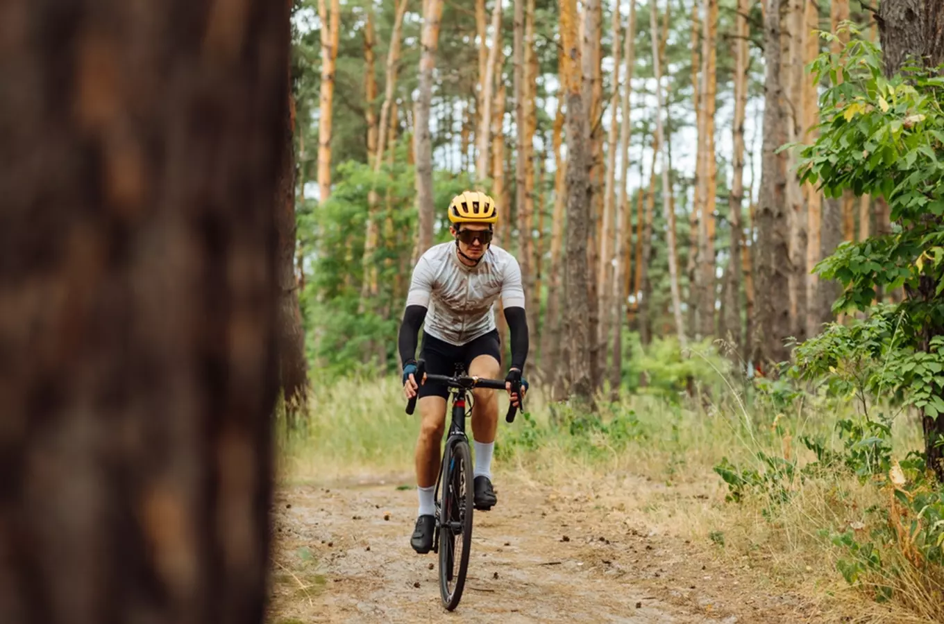 Kolostezky – lesní cyklo okruhy na Choceňsku