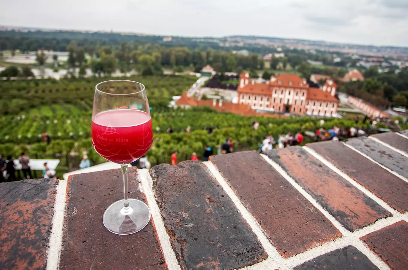 Pražské vinice 2024 – Putování vinicemi hlavního města