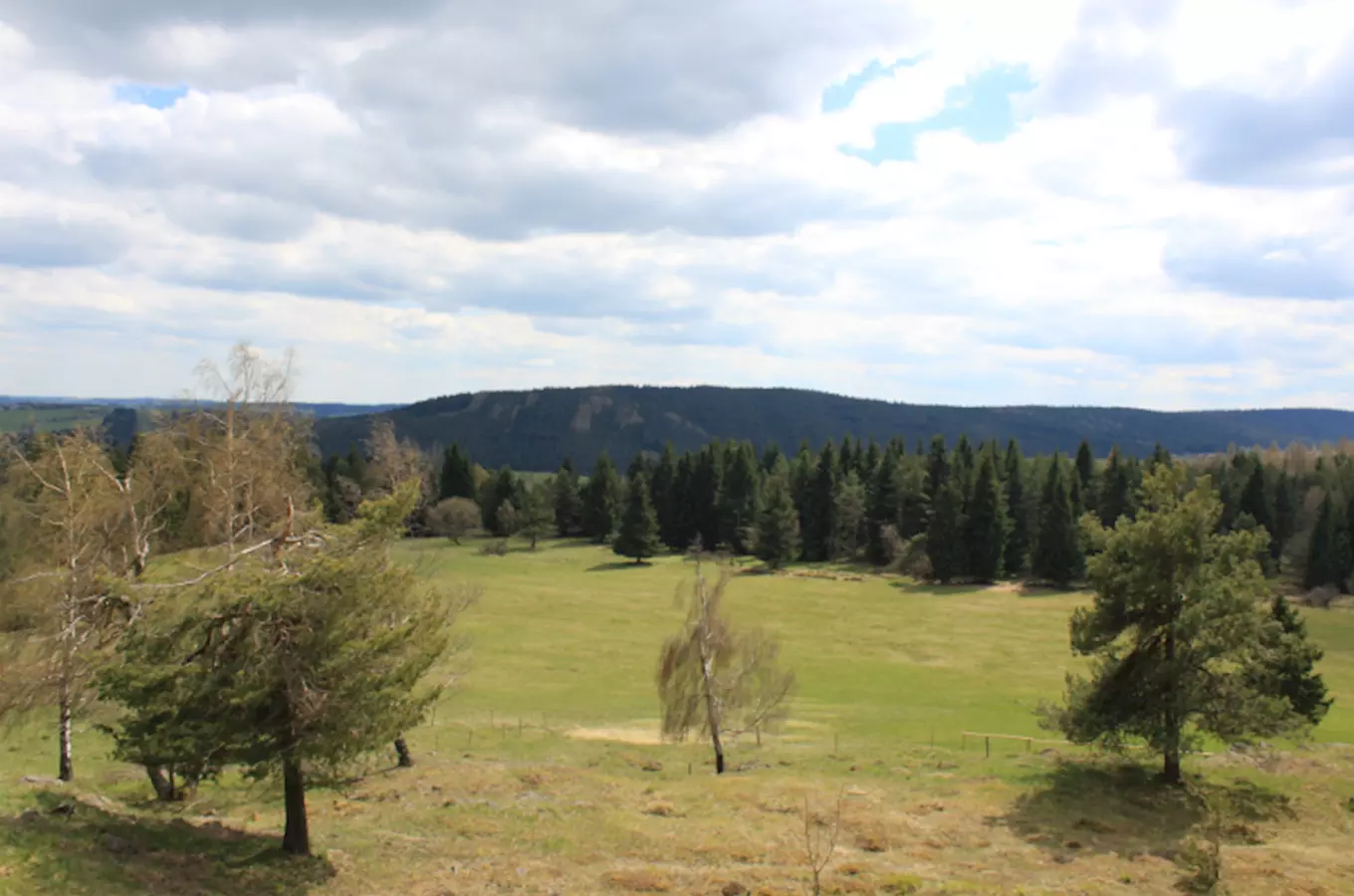 Festival Oživme prameny