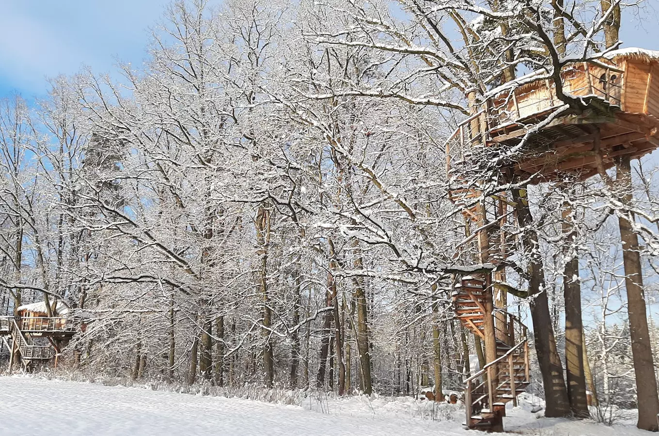 Znáte tree house? Vyzkoušejte spaní v domečku na stromě!