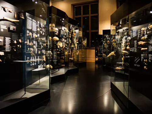 Lidé a jejich předci – expozice v Historické budově Národního muzea