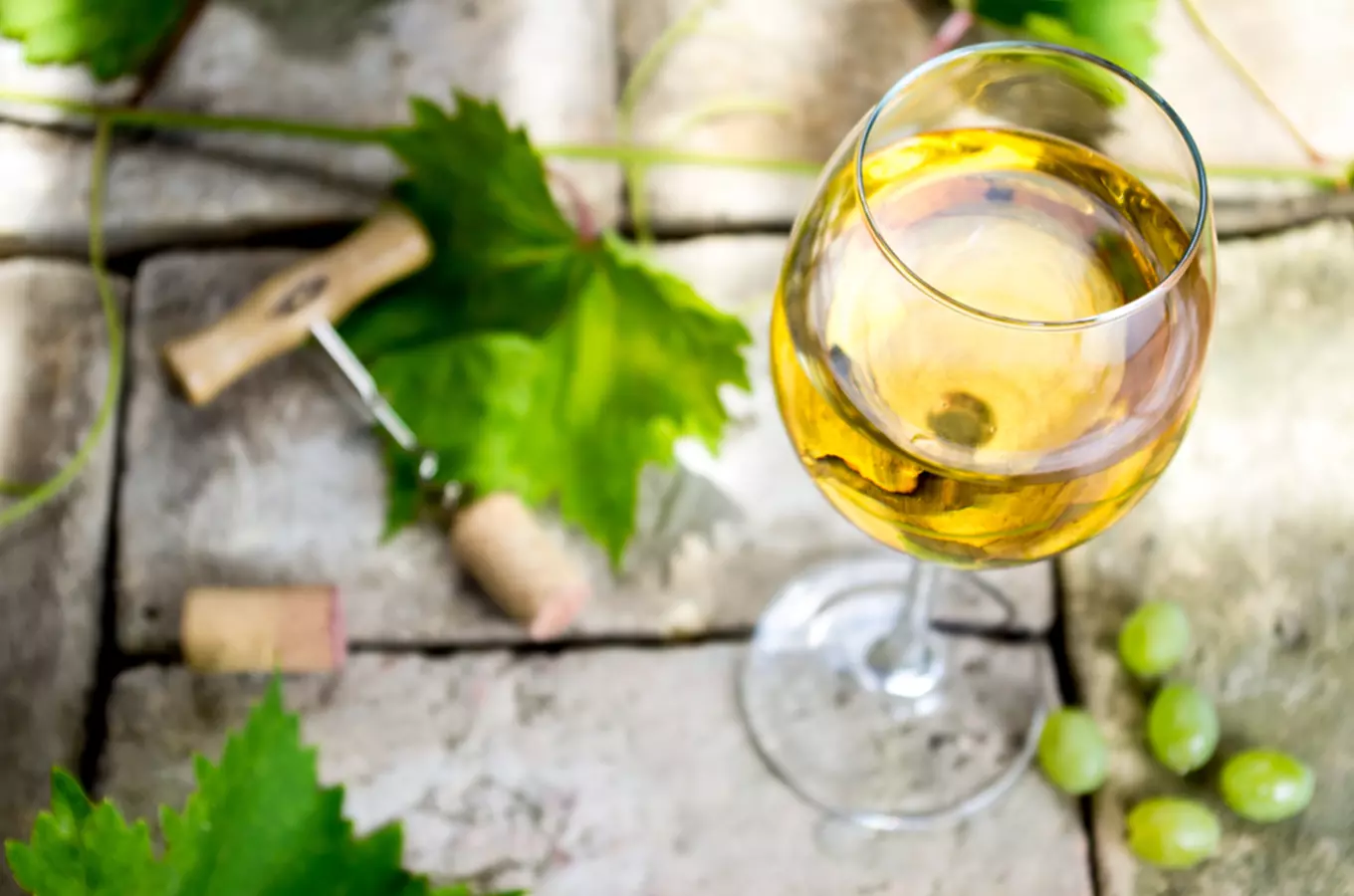 Nejlepším vínem České republiky 2021 je Pinot blanc z vinařství Thaya z Hnanic u Znojma