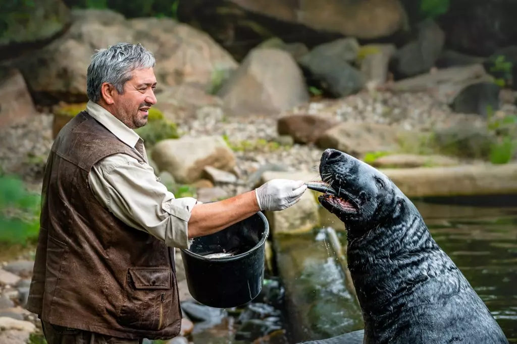 Podkrušnohorský zoopark nabízí po celé léto spoustu zážitků