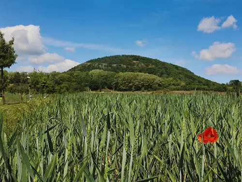 Poutní cesta Říp-Blaník