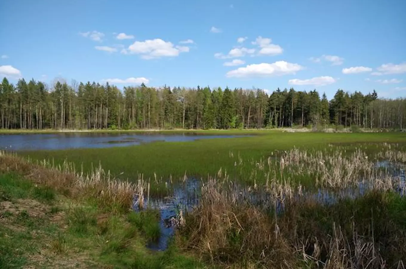 Naučná stezka Kokotské rybníky u Plzně