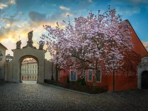 Za alchymisty a lékárníky