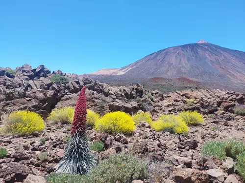 Tenerife