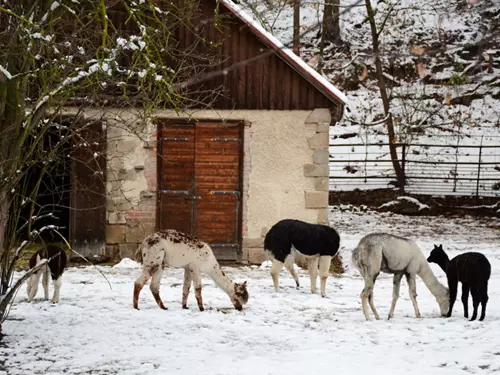 Zoo Jihlava – připravte se na zážitek