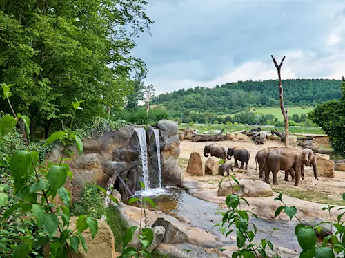Nejnavštěvovanější turistické cíle v kategorii Zoo, zahrady a akvária