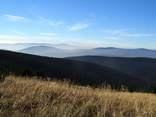 Medvědí vrch v Jeseníkách – nejvyšší vrchol Medvědské hornatiny