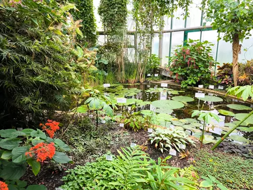 Botanická zahrada Liberec byla veřejnosti zpřístupněna 5. září 1895: je nejstarší v Česku