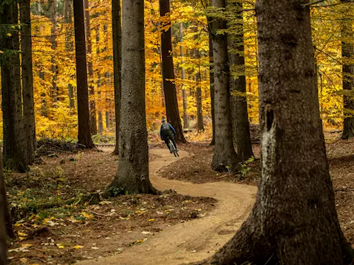 Singletrail Moravský kras – dočasně uzavřeno