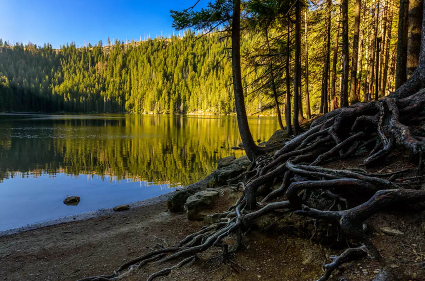 Čertovo jezero – jediné šumavské jezero náležící k povodí Dunaje