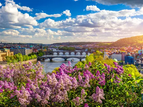 Praha se zelená a parky zdobí květy – kam vyrazit na romantické rande?