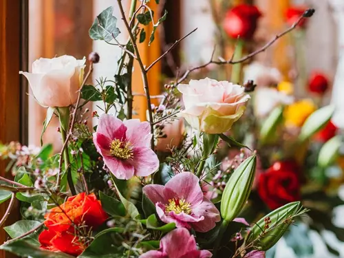 Prohlídkovou trasu brněnské vily Stiassni ozdobí výstava květinových aranžmá