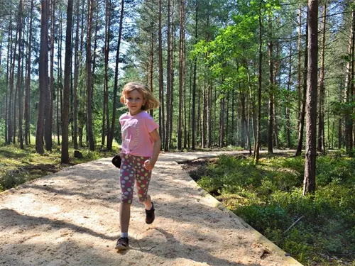 Lesní běžecká stezka v Hradci Králové