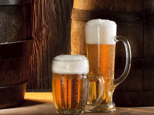 Oslavte Den ceského piva s pivovarem Litovel