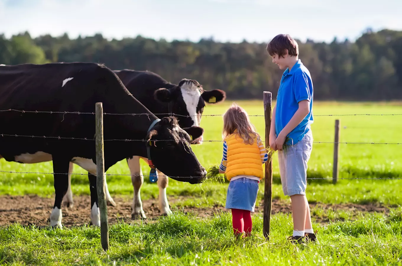 Užijte si dovolenou na farmě