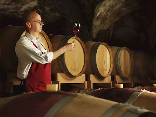 Ochutnávky vína: Na toulky se skleničkou zvou vinaři na Podluží, Velké Němčice i Mělník