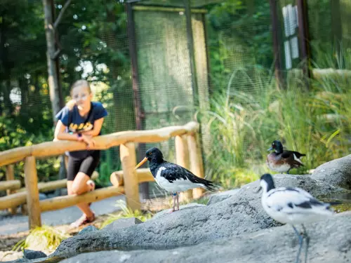 Zoo Ostrava – Zoologická zahrada a botanický park v Ostravě