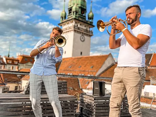 Živá hudba U Zajíce – Muzikanti na tripu