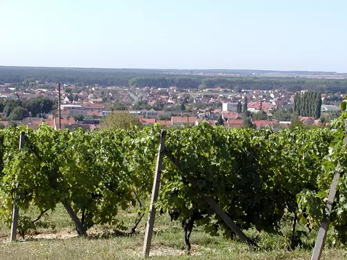 Radějov