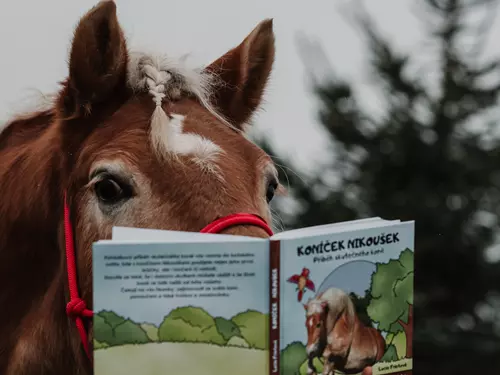 Autorské čtení knihy Koníček Nikoušek v parku Fantazium