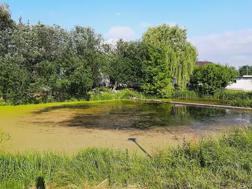 Přírodní památka Tlumačovská tůňka
