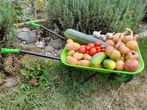 Penzion Malá farma Nemojany