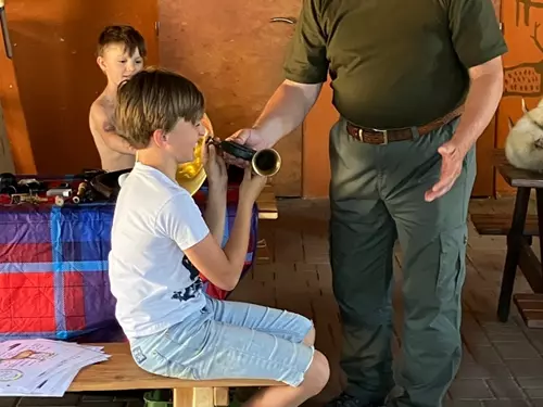 O zvířatech kolem nás