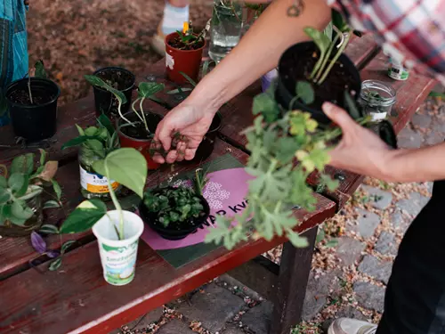Kytkobraní – rozkvetlá recyklace