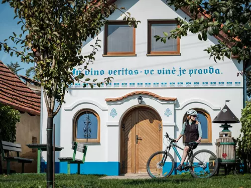 Tour de burčák po vinařských stezkách Kyjovska 2023