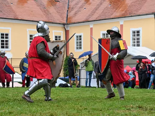 Oživlý středověk v Česticích