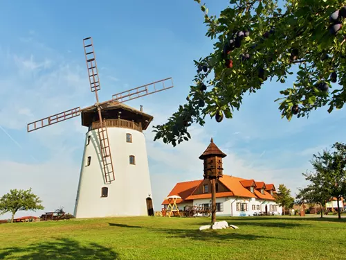 Rozhledna