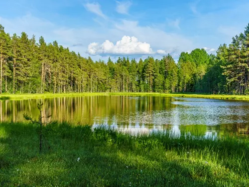 Písařův rybník v Českém lese