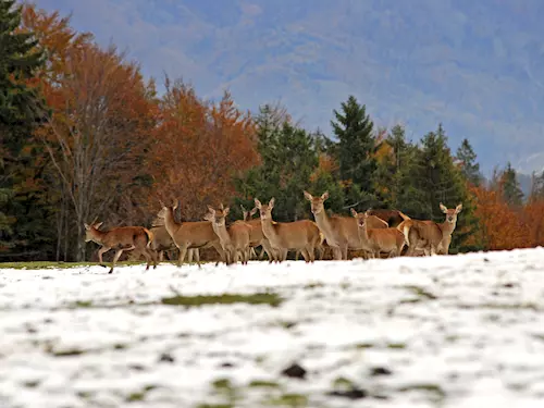 Krkonošský národní park - kouzelná príroda ceských nejvyšších hor