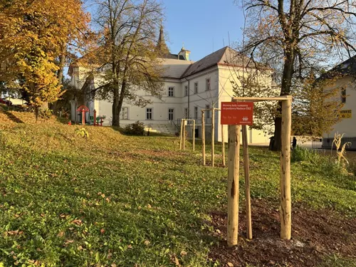 Lesopark v areálu Centra Klášter 