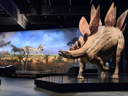 Pravěcí obři ze Zemanovy Cesty do pravěku: Dinosauria Museum Prague láká na novou expozici