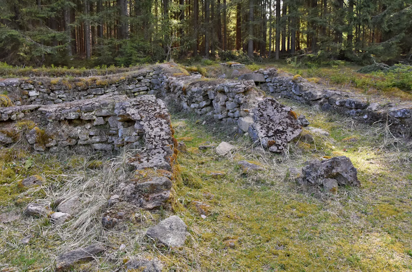 Česká Trója – zaniklá středověká osada Pfaffenschlag