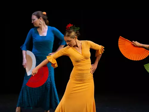 Flamenco v Estudiu Feliz