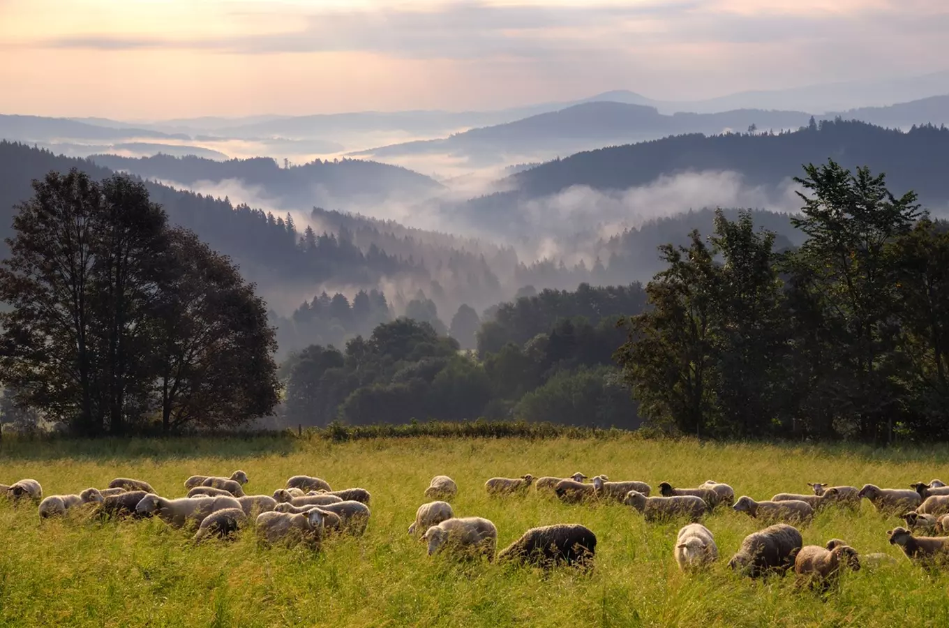 Skvosty našich národních parků: 50 nejkrásnějších míst, která navštívit na Šumavě