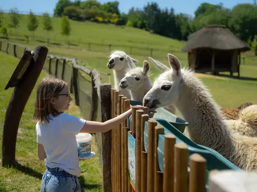 Farmapark Soběhrdy – jedinečný zážitek pro milovníky zvířat