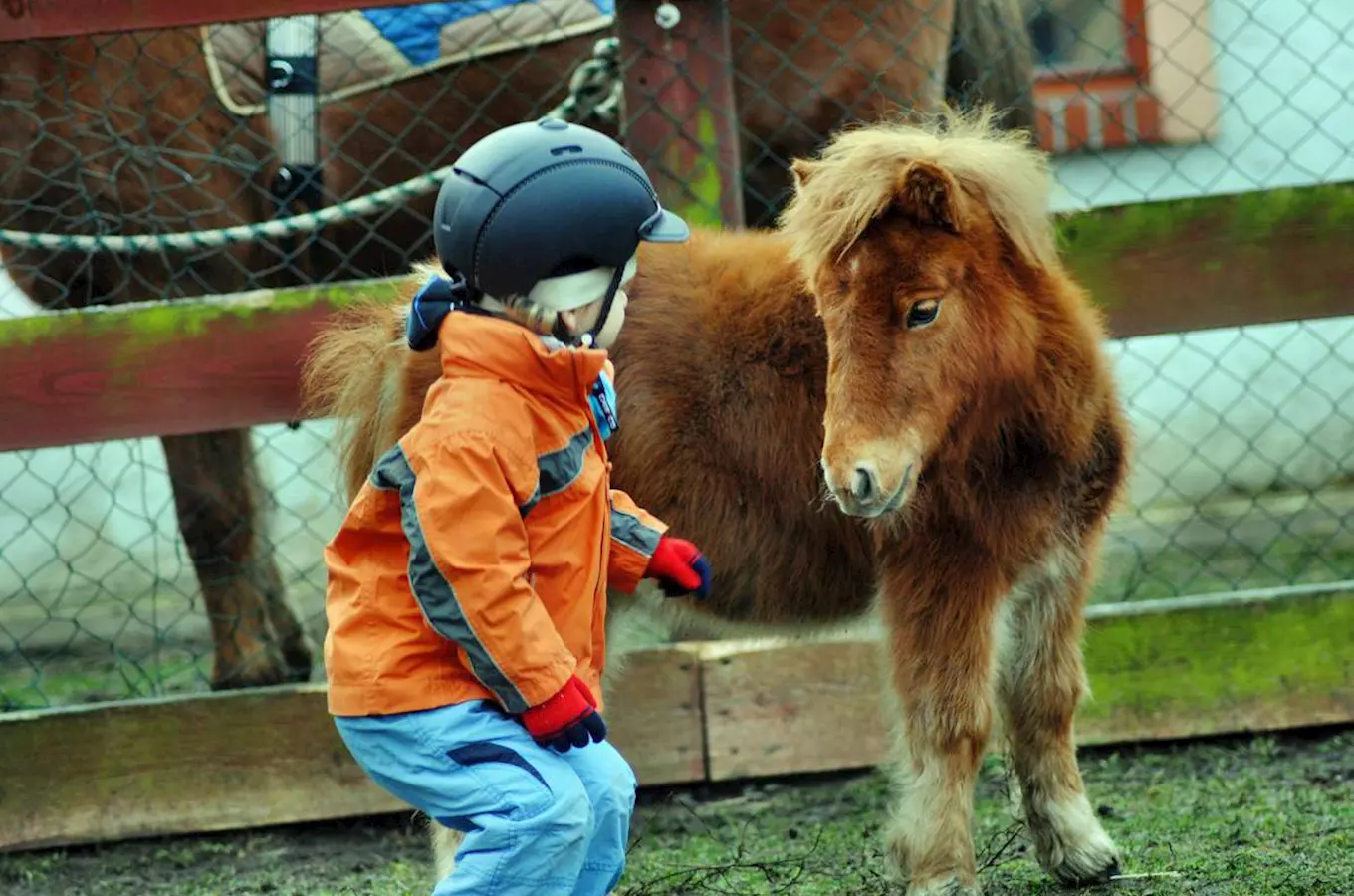 Minifarma Úpořiny u Bystřan