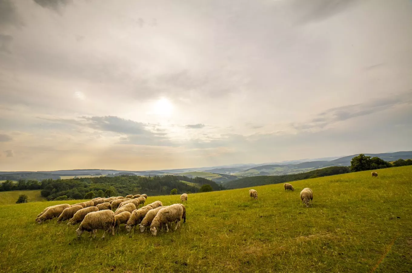 Bílé Karpaty, kudy z nudy