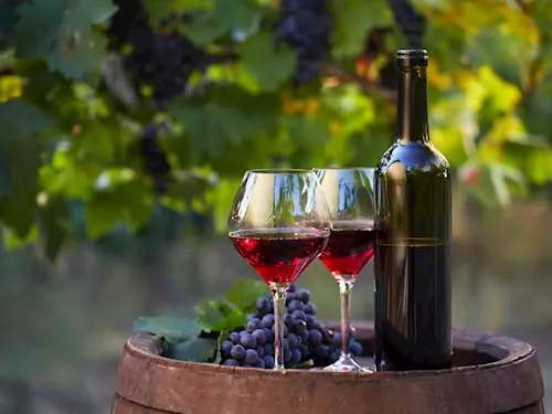 Nejlepším vínem České republiky 2020 je Rulandské modré ze Zámeckého vinařství Bzenec