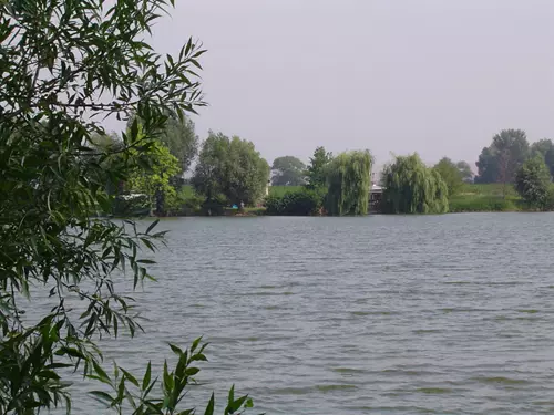 Ramena řeky Moravy u obce Babice