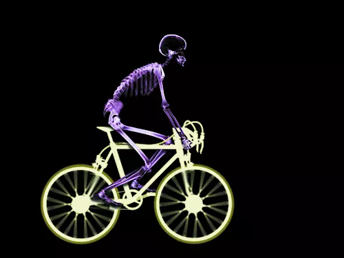 Hlavní atrakcí je unikátní pohyblivý model kostry na jízdním kole